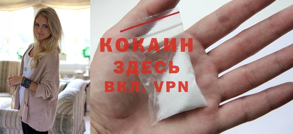 PSILOCYBIN Кукмор