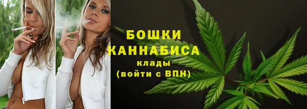 прущие грибы Красноперекопск