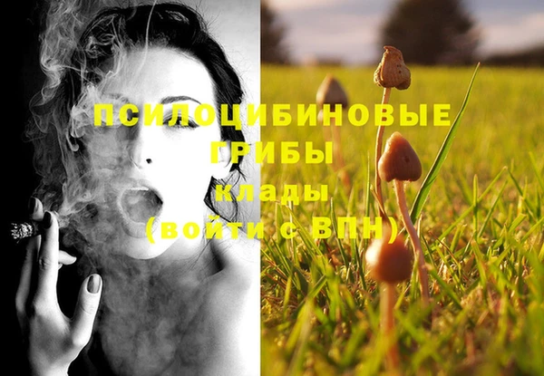 MDMA Куйбышев