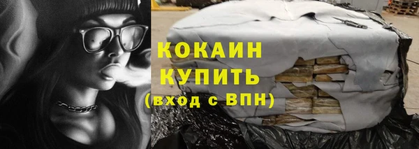 прущие грибы Красноперекопск