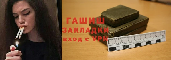 гашик Краснослободск