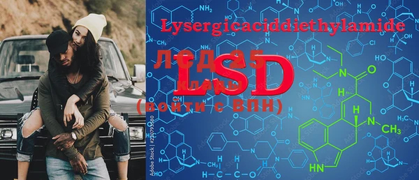 PSILOCYBIN Кукмор