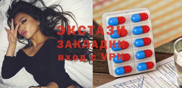 гашик Краснослободск