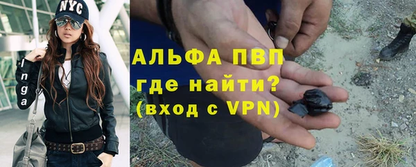 прущие грибы Красноперекопск
